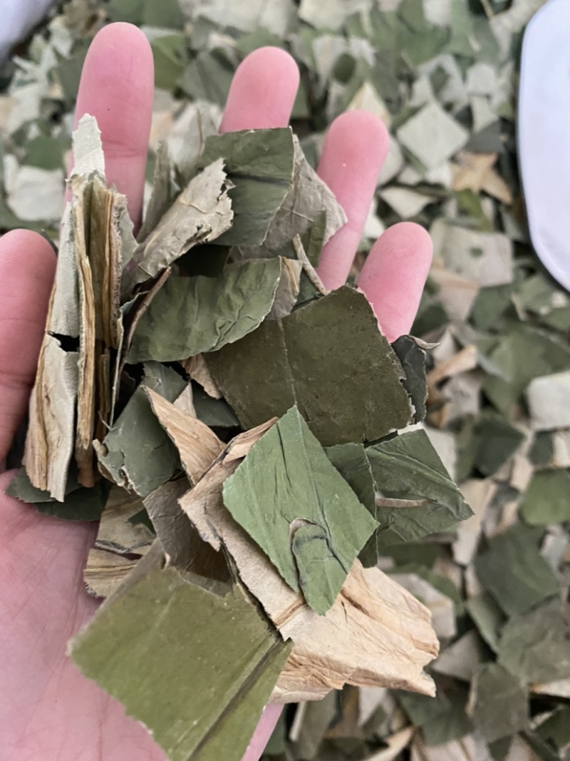 荷叶荷叶块今年新货颜色好