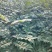 黄柏苗60公分高起苗可视频看货