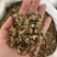 藿香全草干货新货颜色好