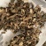 藿香全草干货新货颜色好