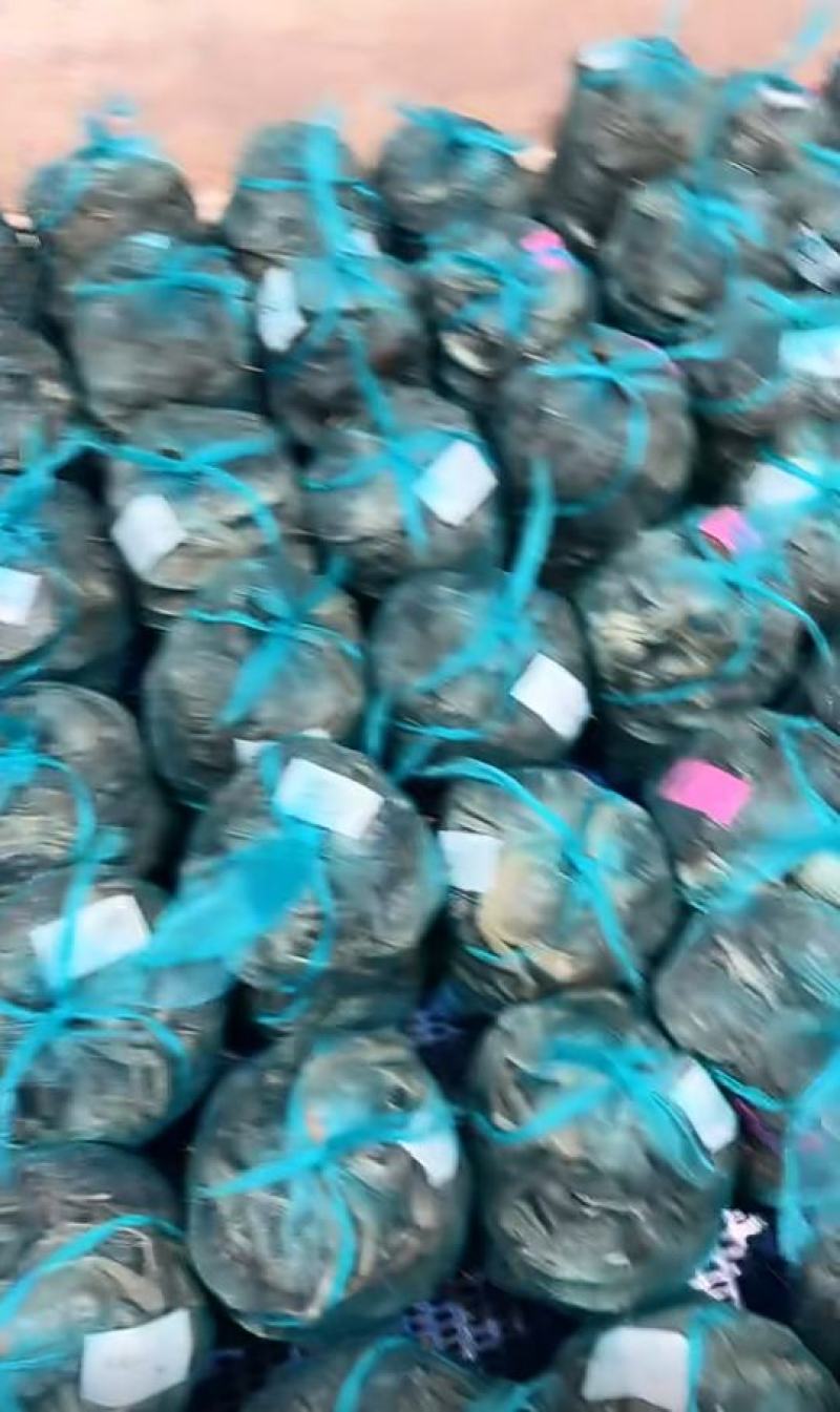 兴化精品蟹黄满膏肥硬度好