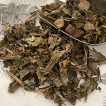鱼腥草今年新货产品实拍