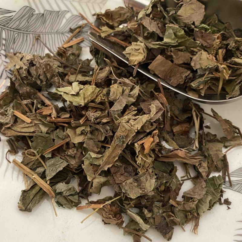 鱼腥草今年新货产品实拍