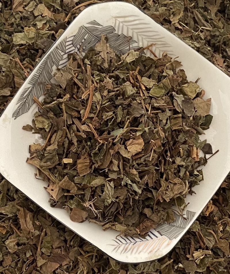 鱼腥草今年新货产品实拍