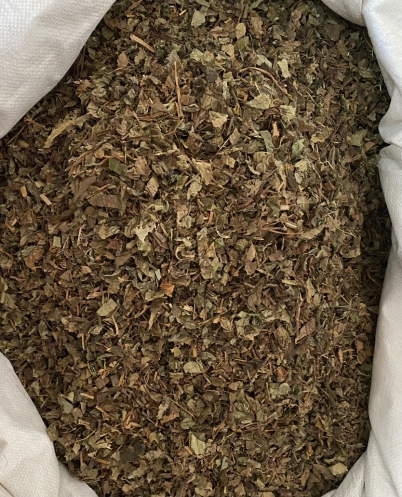 鱼腥草今年新货产品实拍