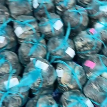 兴化精品蟹黄满膏肥硬度好