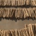 正宗新鲜现挖山药软糯淮小白嘴山药当季产地直发网袋山药