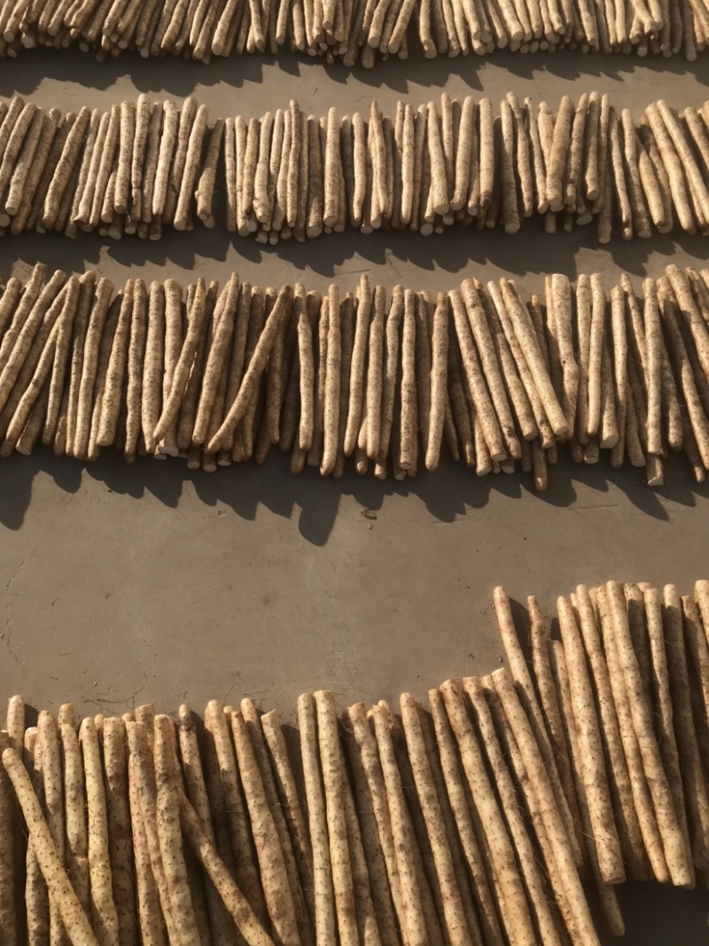 正宗新鲜现挖山药软糯淮小白嘴山药当季产地直发网袋山药