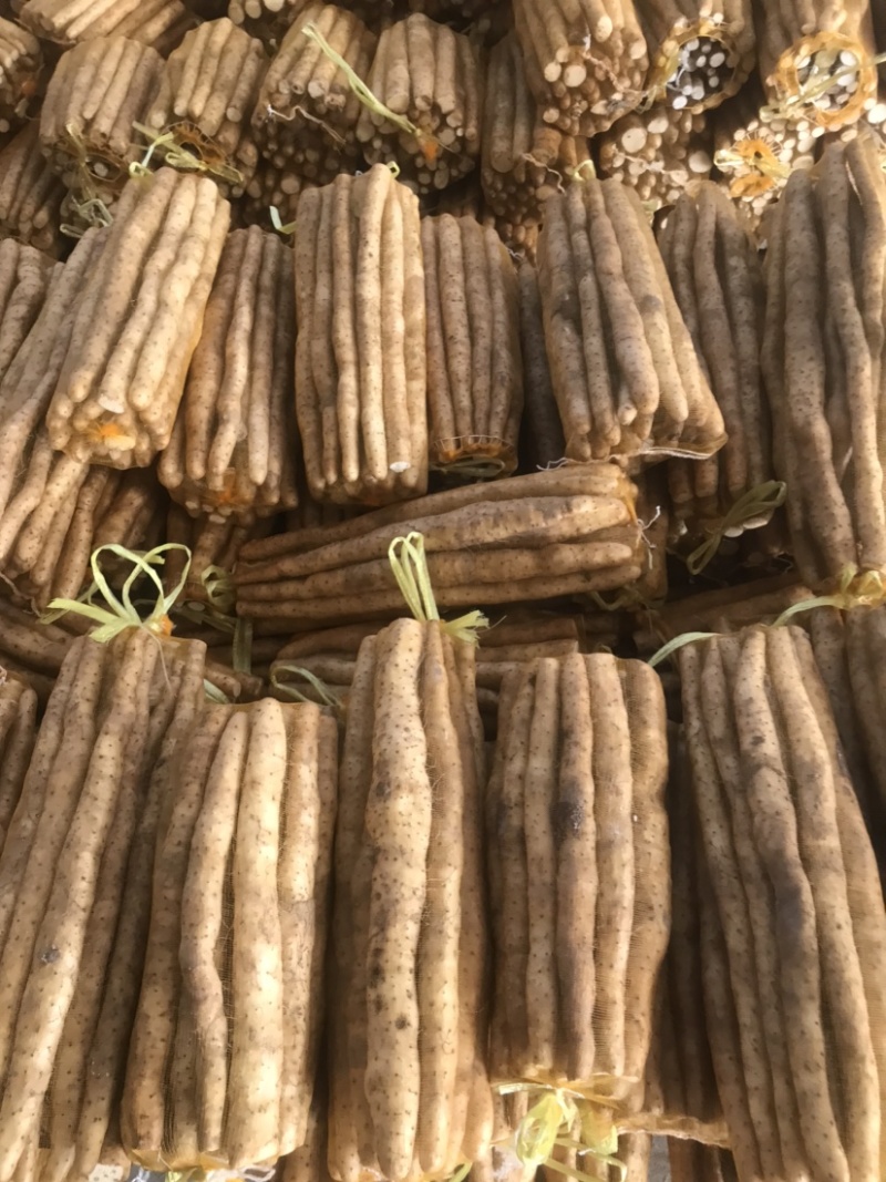 正宗新鲜现挖山药软糯淮小白嘴山药当季产地直发网袋山药