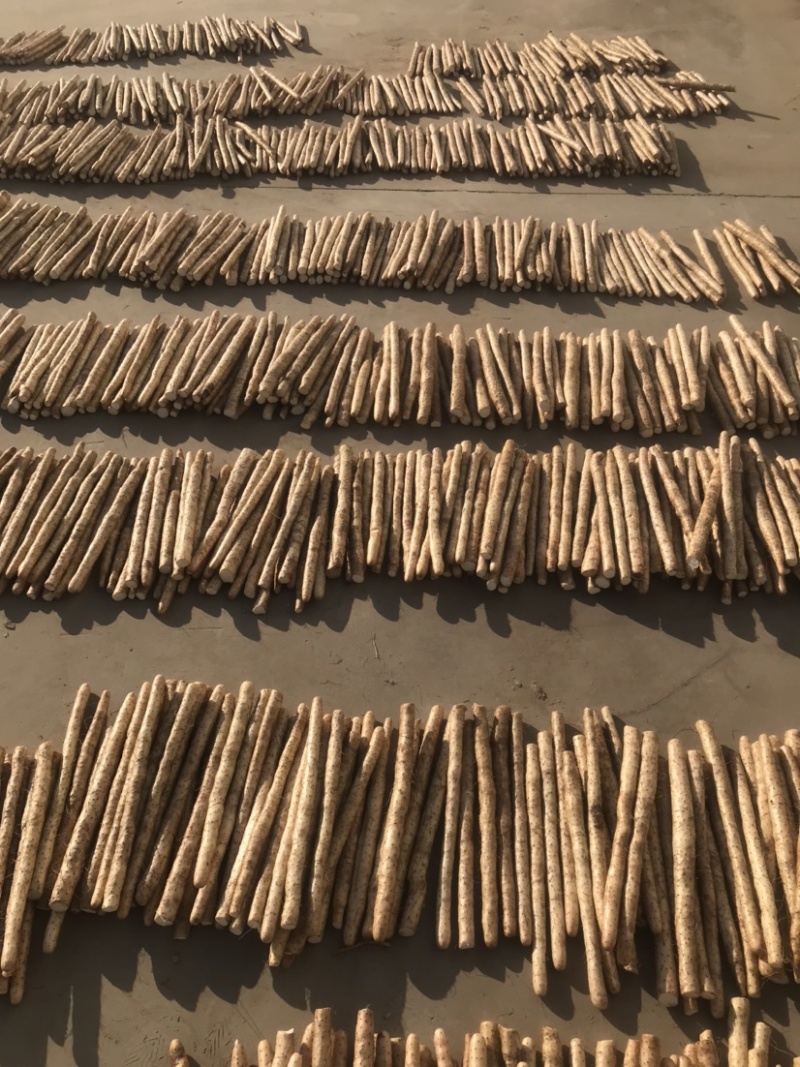 正宗新鲜现挖山药软糯淮小白嘴山药当季产地直发网袋山药