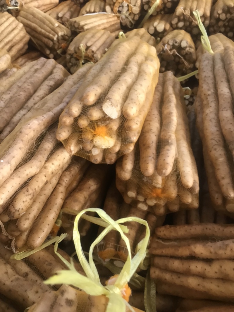 正宗新鲜现挖山药软糯淮小白嘴山药当季产地直发网袋山药