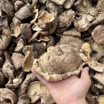 【干香菇】香菇薄片大片全国发货量大价格低
