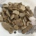 莪术文术无硫原色产品实拍
