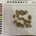 莪术文术无硫原色产品实拍