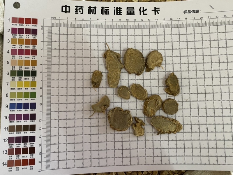 莪术文术无硫原色产品实拍