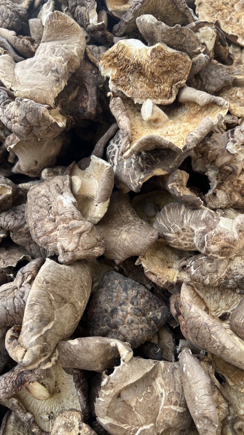 【干香菇】香菇薄片大片全国发货量大价格低