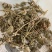 密蒙花新货产品实拍