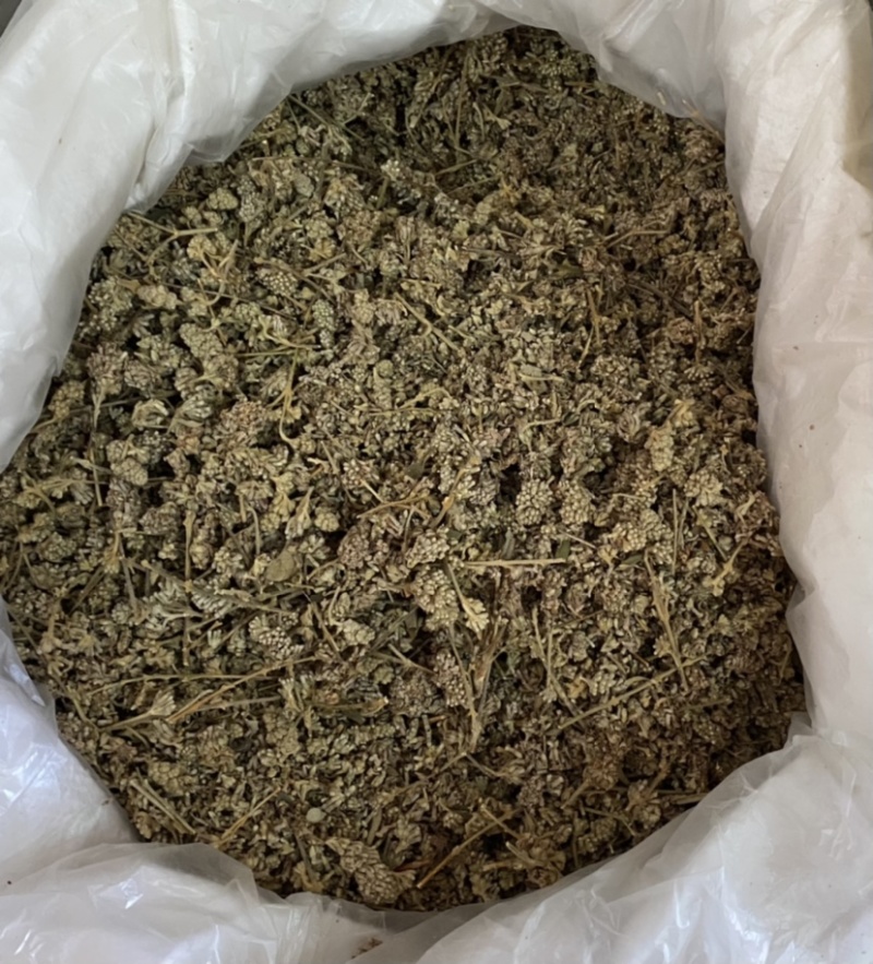 密蒙花新货产品实拍