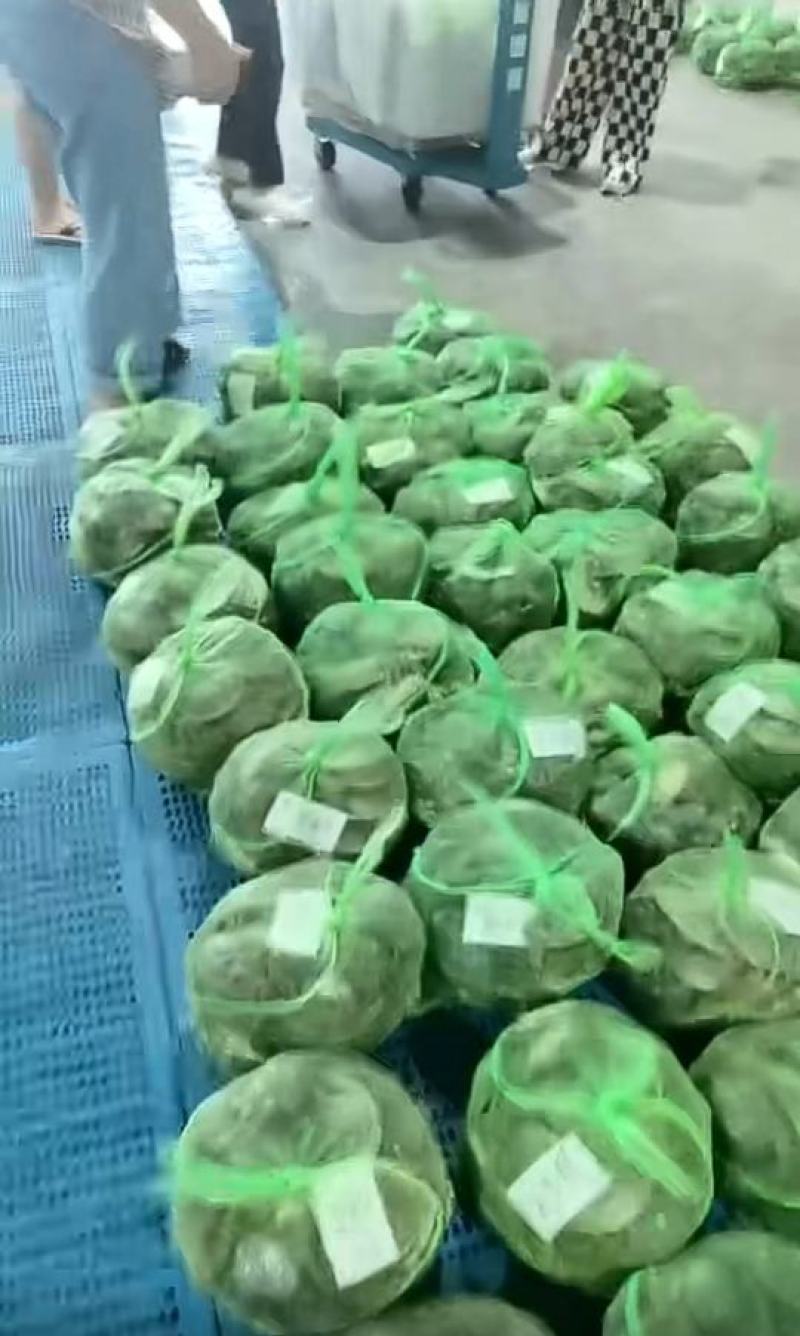 残蟹残公残母，身残质坚