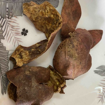 石榴皮干石榴皮产地山东