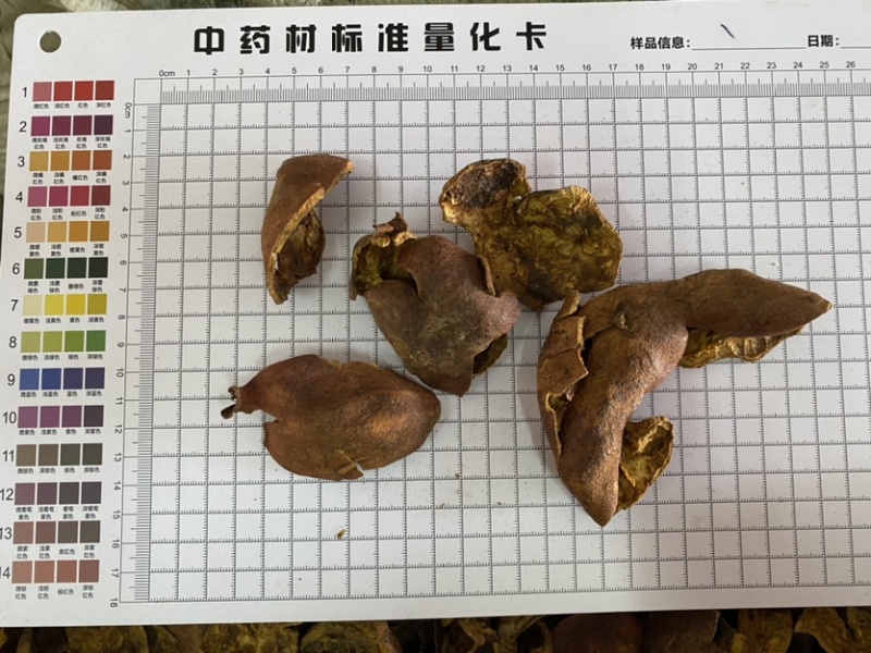 石榴皮干石榴皮产地山东