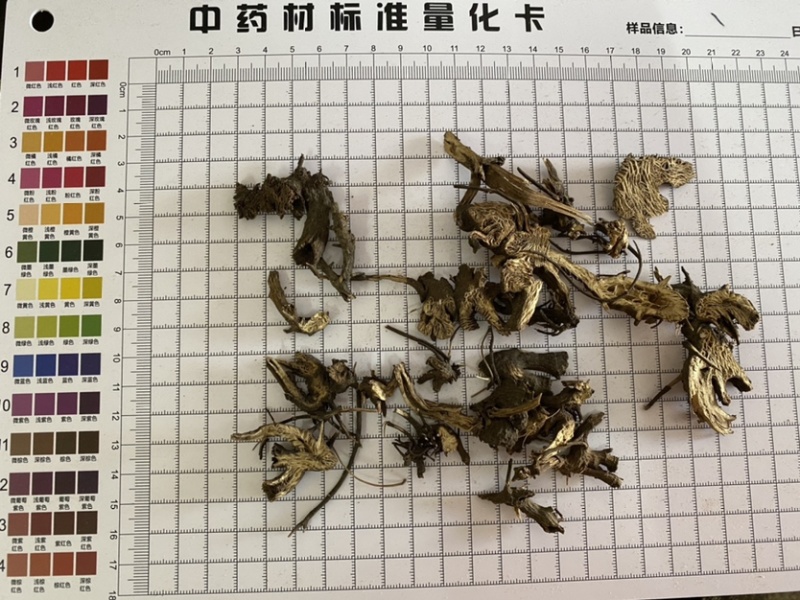 升麻货干干净无杂质