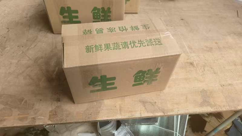 天津沙窝村现拔水果萝卜冰淇淋萝卜