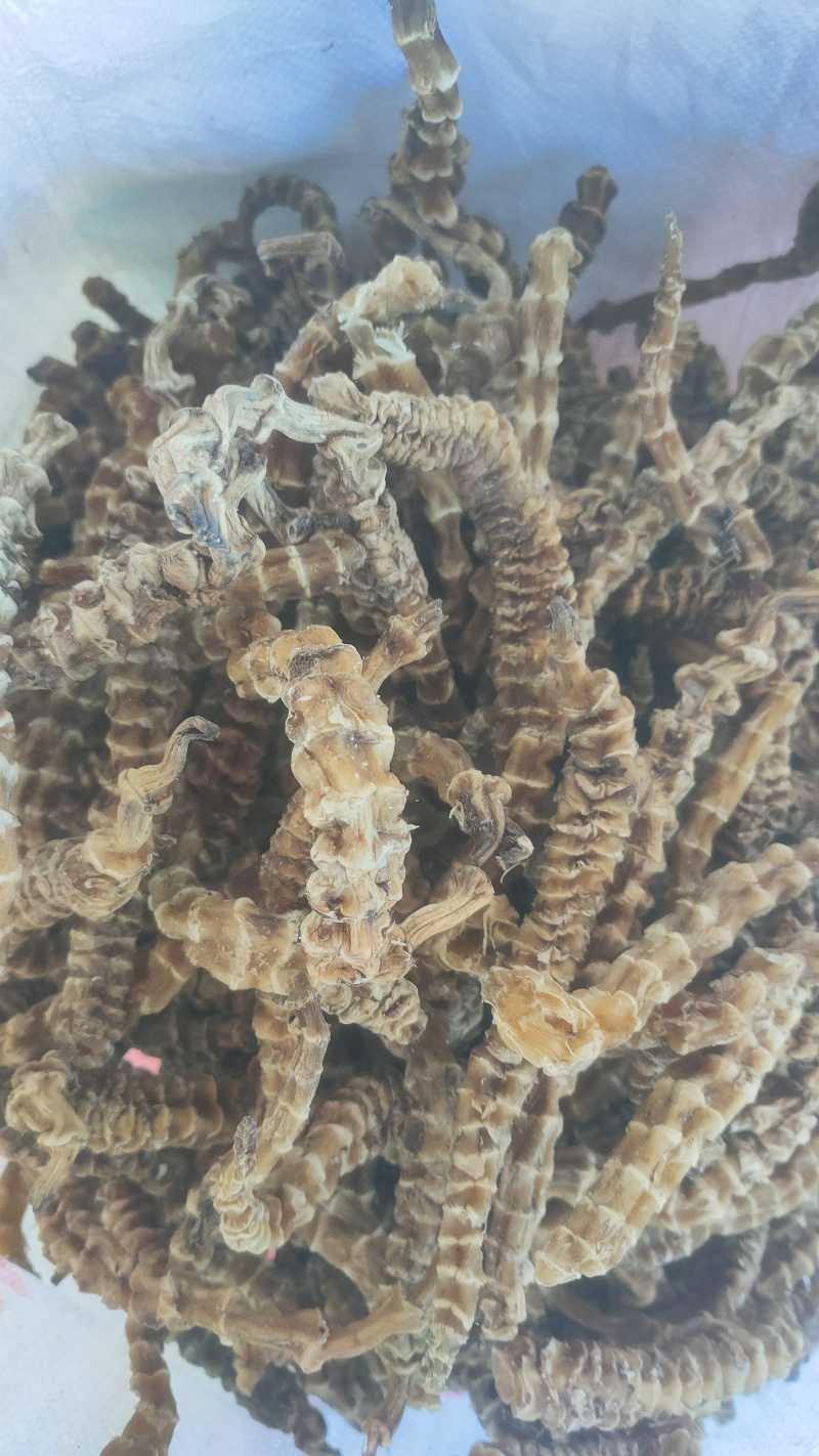 新鲜虫草参干货，绿色健康，营养丰富，适合炸炒拌炖汤泡酒等等