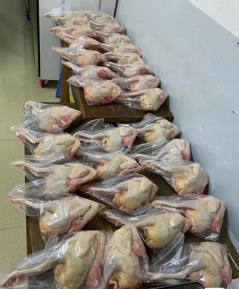 贵州大山散养不喂饲料老品种土鸡原生态健康食材吃出原始味道