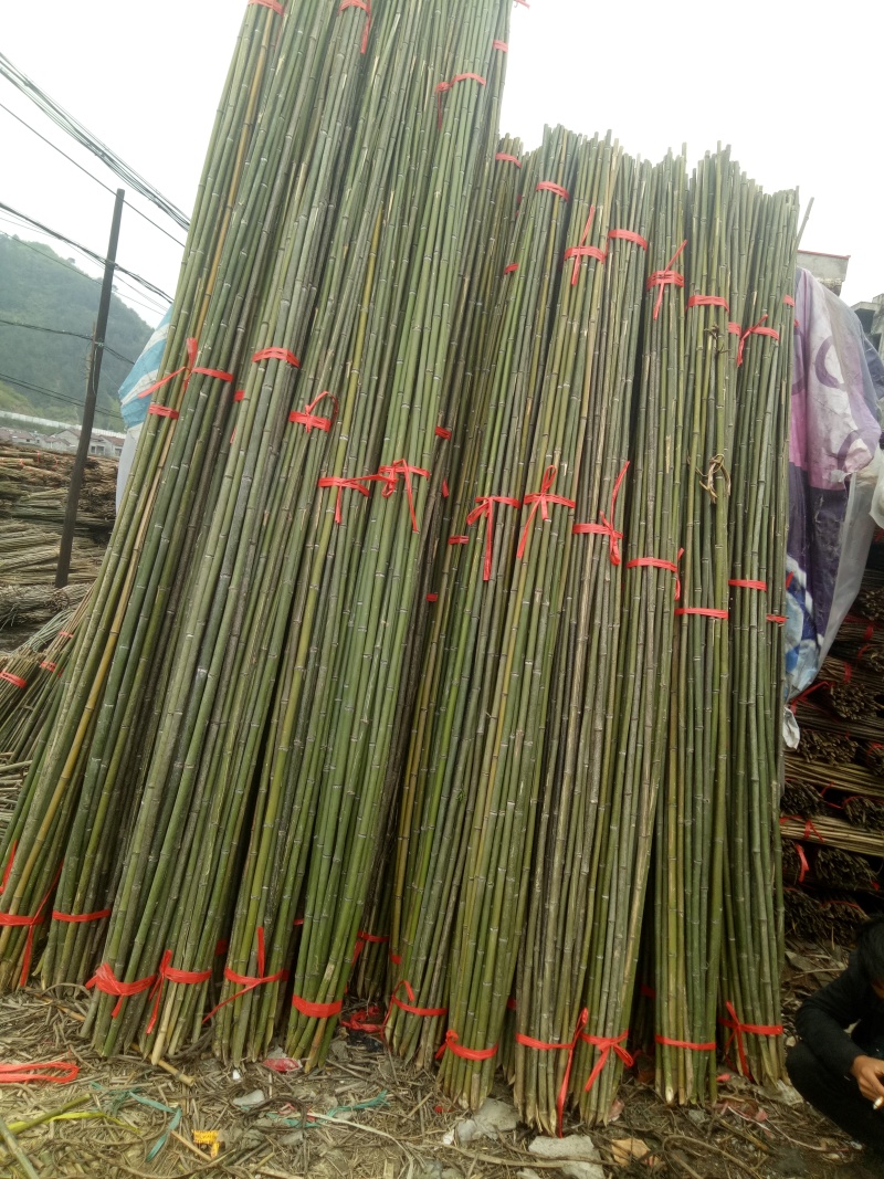2-7米大棚竹，原产地直销，价格优惠，质量保证。