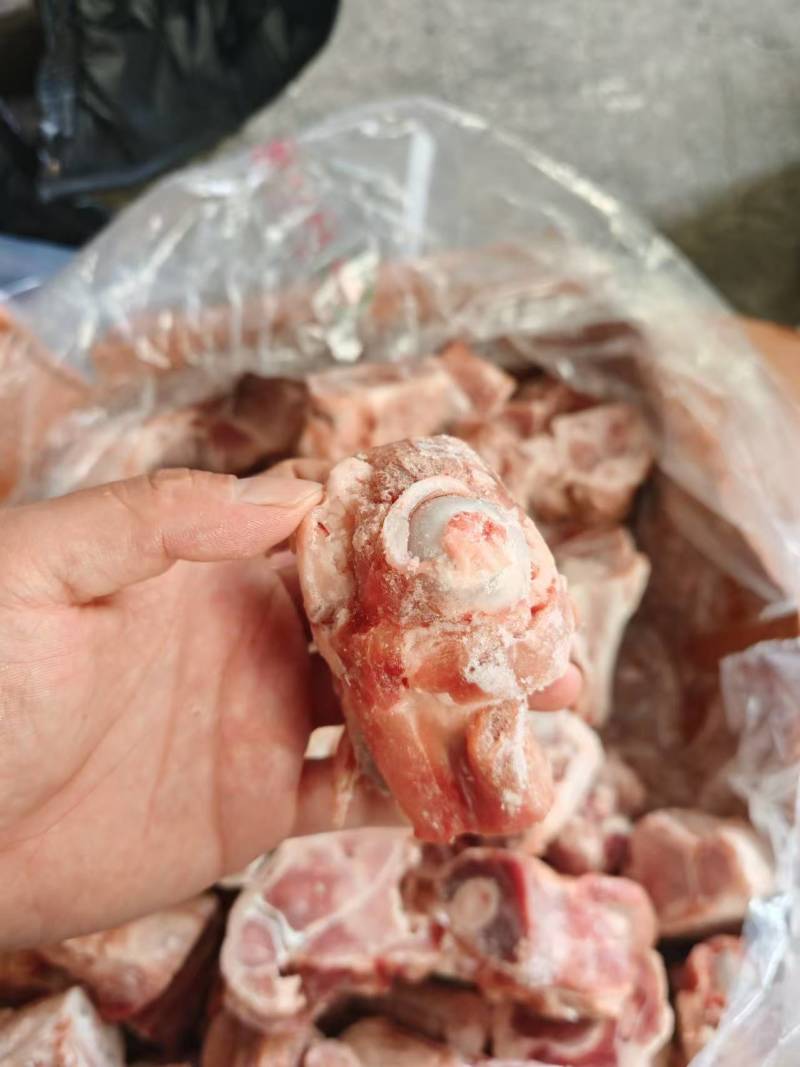 后腿骨