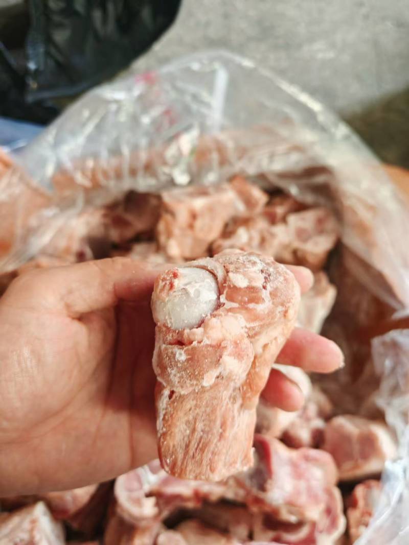 后腿骨