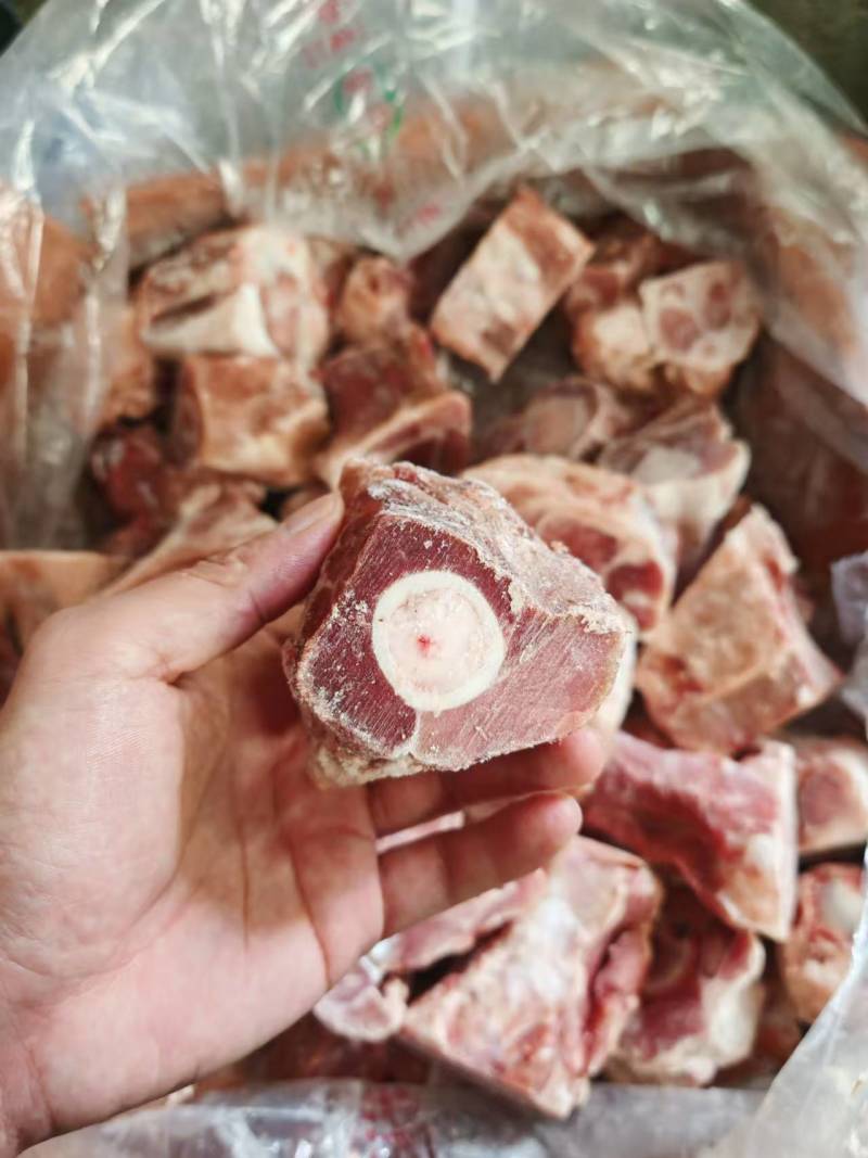 后腿骨