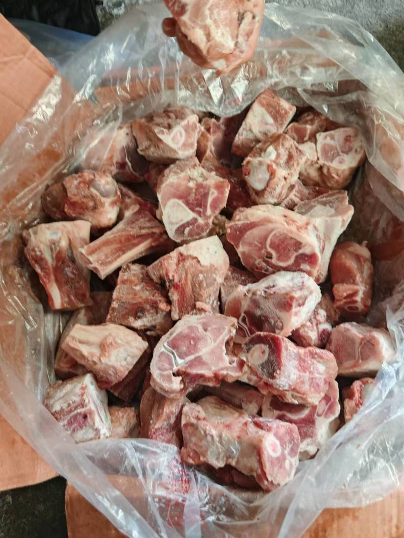 后腿骨
