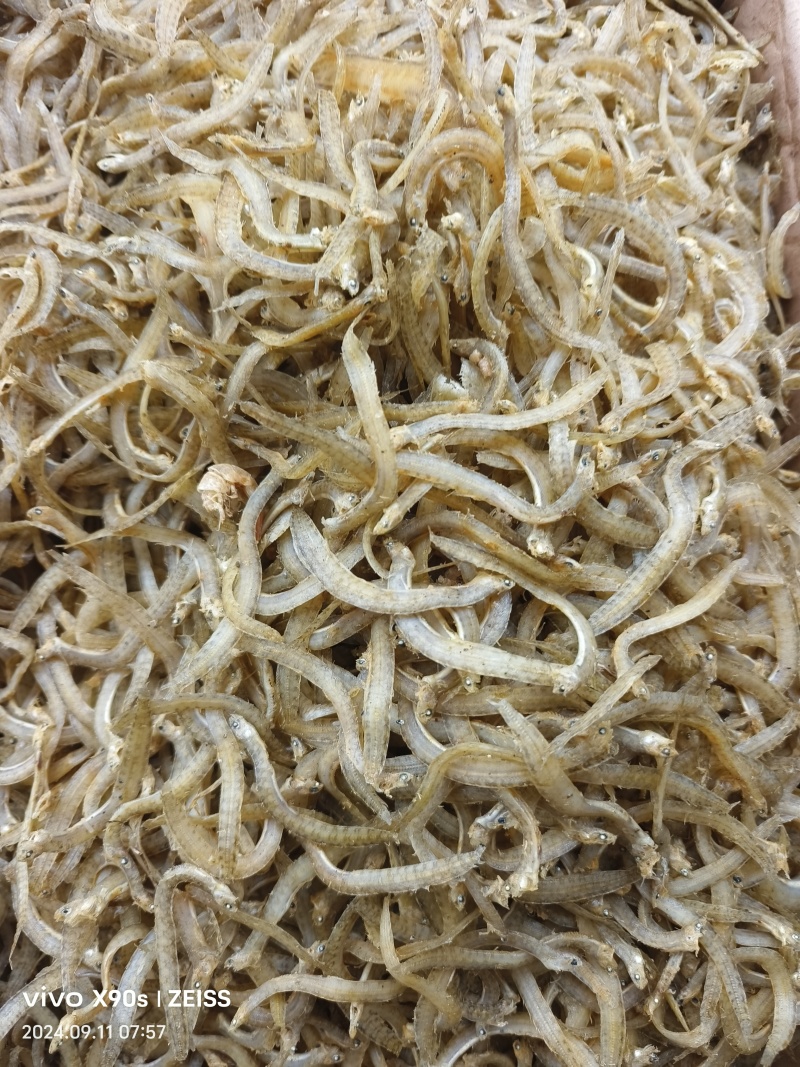 凤尾鱼，鱼干，海泥鳅海鲜小食品原料，食品厂需求的货源