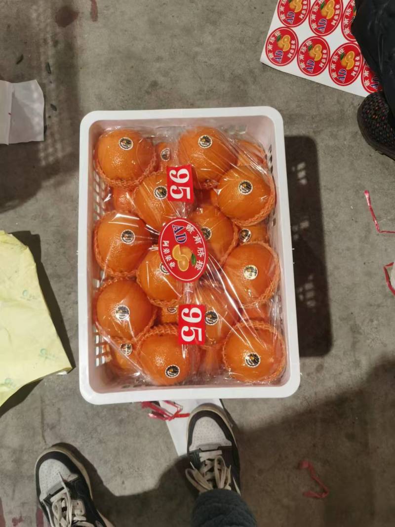 湖南纽荷尔脐橙大量上市一手货源价格实惠量大从优