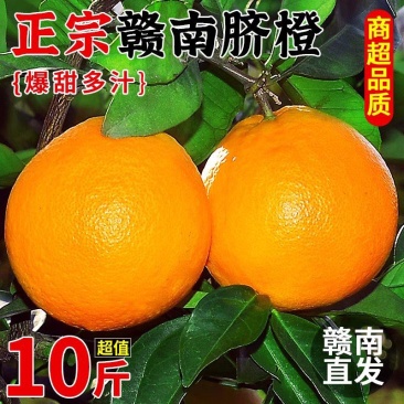 正宗江西赣南脐橙，纯甜多汁，产地直发，支持一件代发