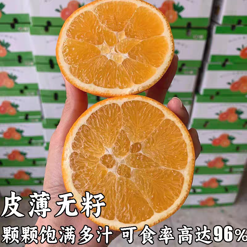 正宗江西赣南脐橙，纯甜多汁，产地直发，支持一件代发