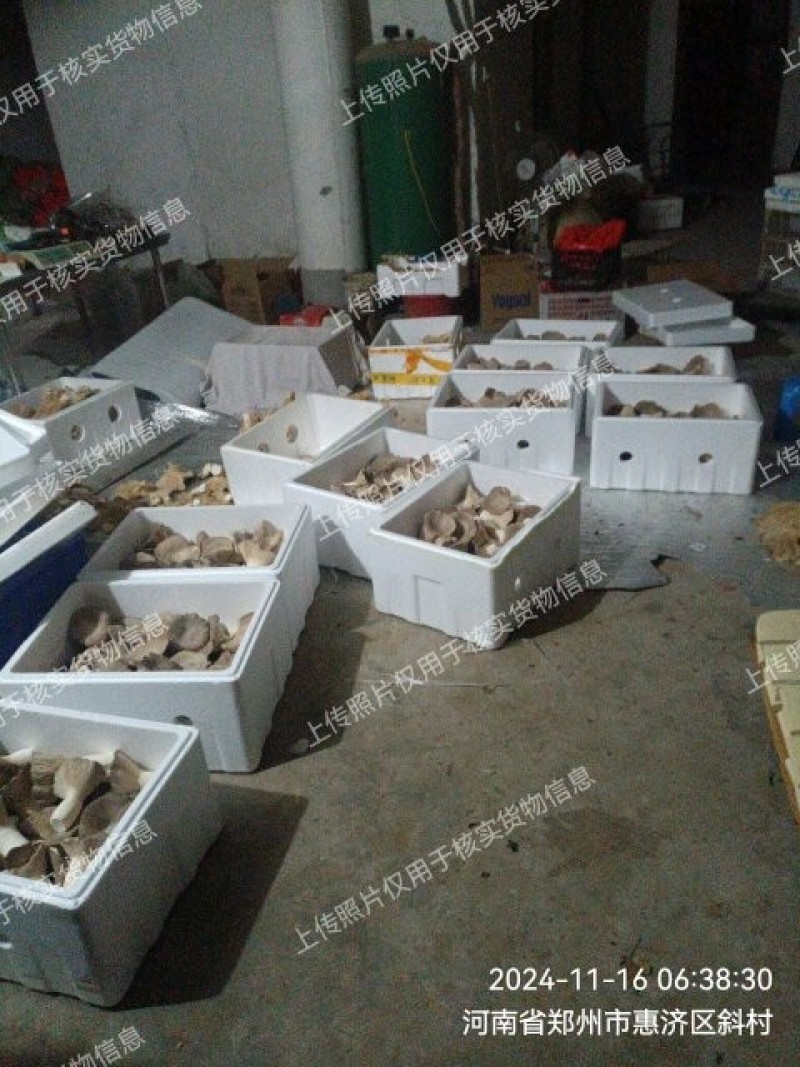 灵芝菇合作提供技术，包回收，欢迎大家咨询考察
