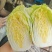 娃娃菜陆良本地娃娃菜大量上市价格便宜