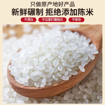 稻花香大米货源充足今年新米量大从优万昌大米