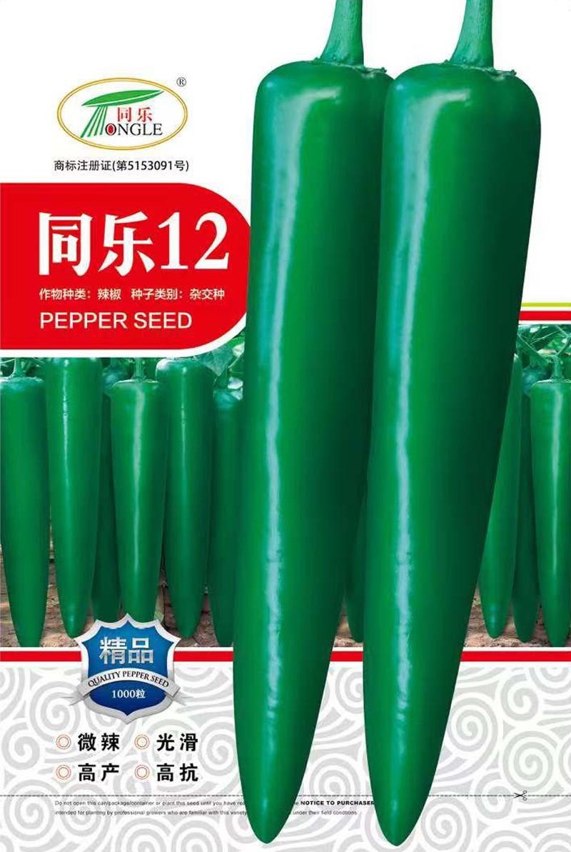 同乐12青皮厚皮绿皮尖椒辣椒种子耐贮运产量卖相好