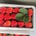 草莓产地直发，保质保量，品种主要以奶油藏香，红颜久久草莓