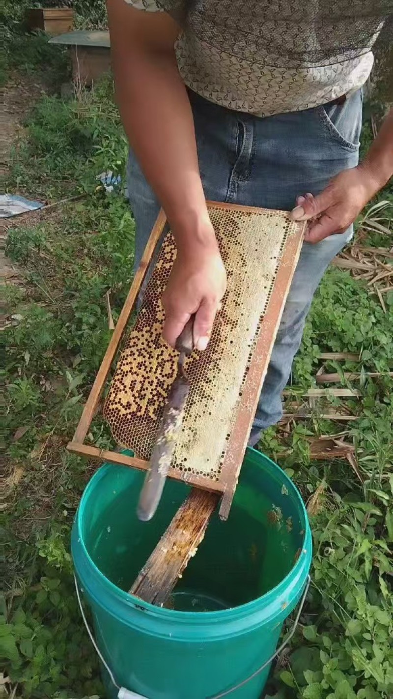 土蜂蜜，大量有货，量大优惠，欢迎新老客户前来合作