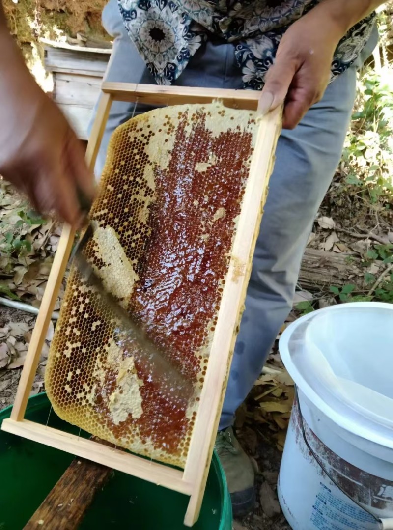 土蜂蜜，大量有货，量大优惠，欢迎新老客户前来合作