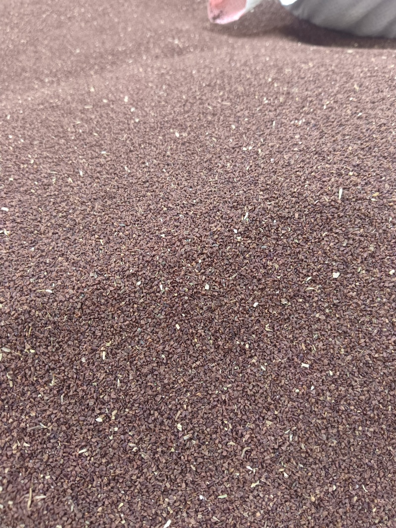 月见草种子