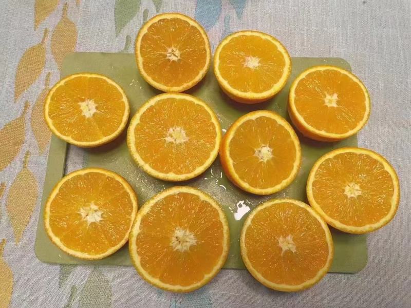 专业供应链一件代发