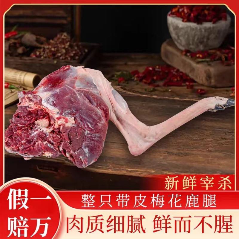 带皮带筋梅花鹿腿，冷链发货，质量从优，欢迎来电咨询