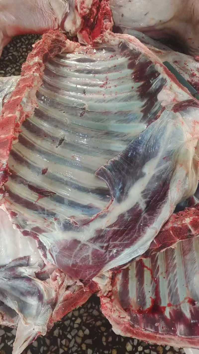 鹿带皮排骨，冷链发货，质量从优