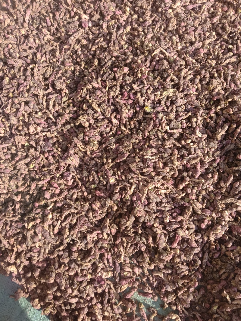 款冬花量大从优质量保证产地直发可视频看货量大从优